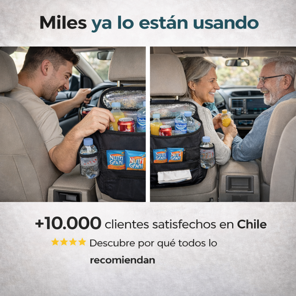 ✅ ORGANIZADOR TÉRMICO PARA AUTO